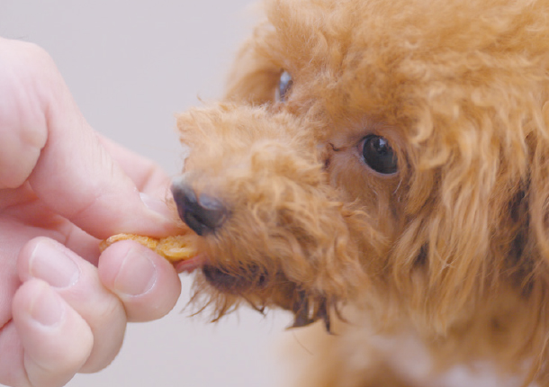 株式会社エヌ・シー