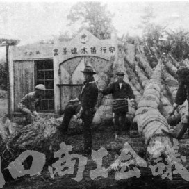 合格苗の荷造りの写真