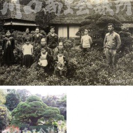 安行の植木屋でのひとこまの写真