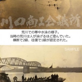 荒川の水練の写真